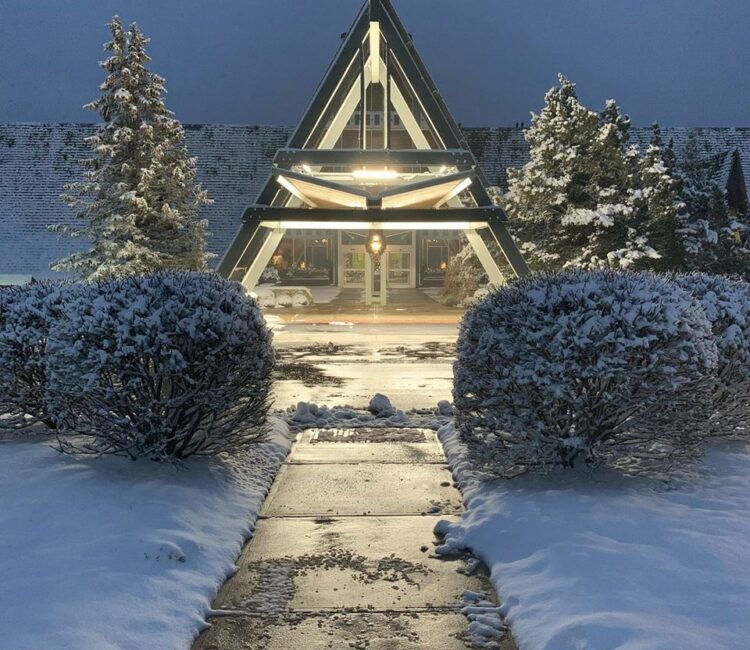 Winter Scene of a building with trees lit up