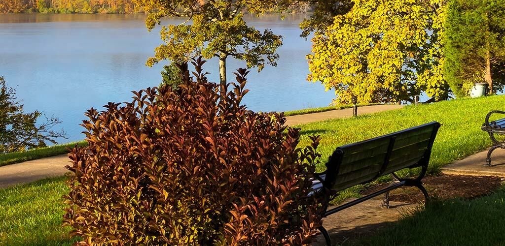 Benches by the Lake